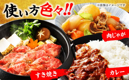【3回定期便】飛騨牛 切り落とし 500g【マルゴー】牛肉 しゃぶしゃぶ バラ肉[MBE029]