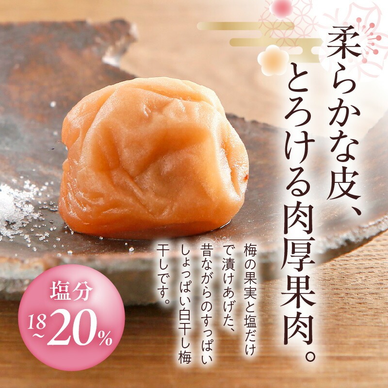 V7469_【800g×2箱セット】【ご家庭用】訳あり白干し梅干し 計1.6Kg 紀州南高梅 和歌山県産/紀伊国屋文左衛門本舗 うめぼし 南高梅