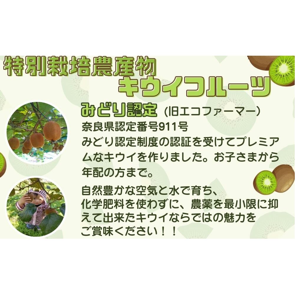 ＜12月〜3月発送＞プレミアム キウイ フルーツ Mサイズ 17個入 追熟処理済 ／ ふるさと納税 キウイ キウイフルーツ ギフト 栄養 果物 お土産 化学肥料不使用 特別栽培 塩 奈良県 宇陀市 や