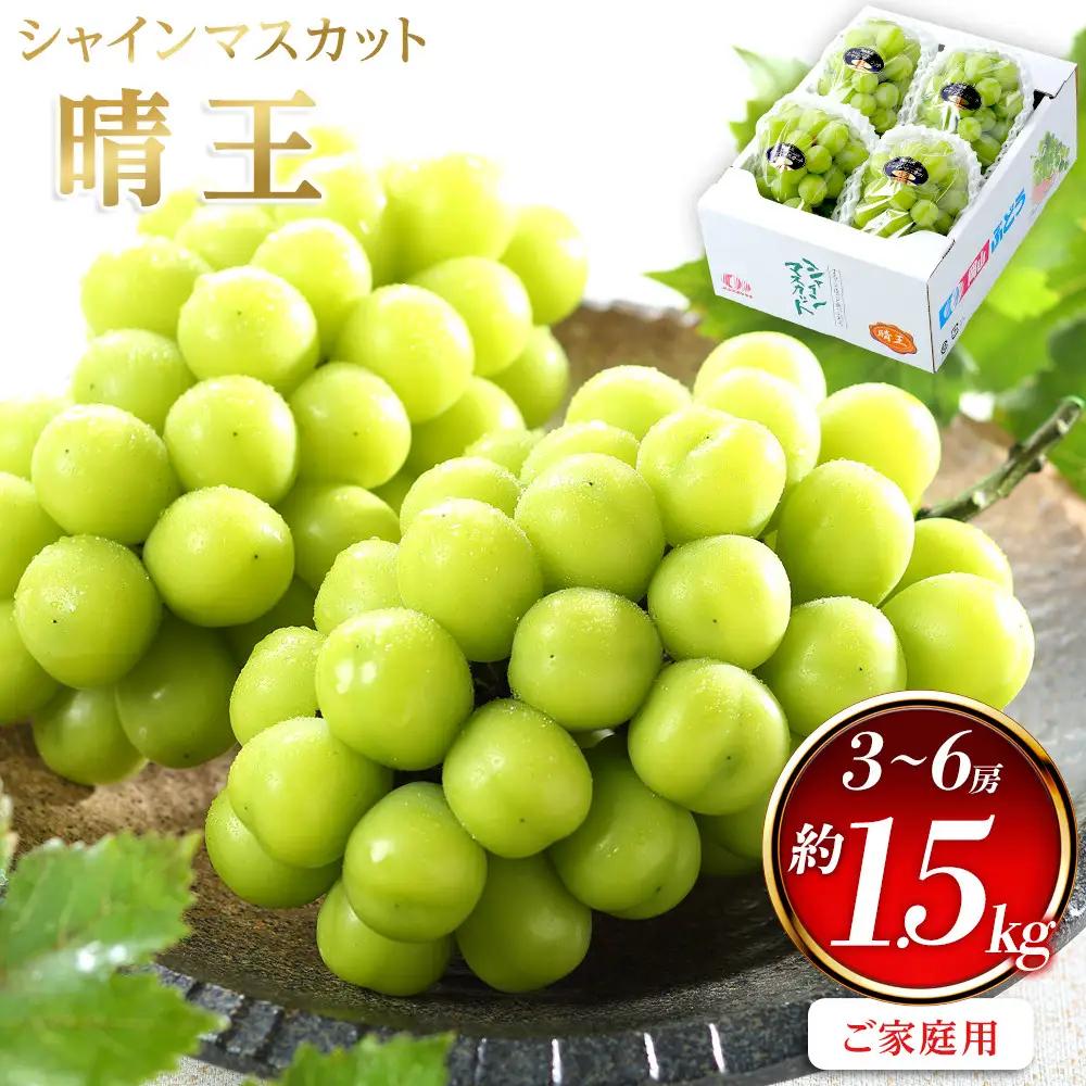 ぶどう 2026年  ご家庭用 シャインマスカット 晴王 3～6房 約1.5kg 葡萄  岡山県産 国産 フルーツ 果物 | シャインマスカット