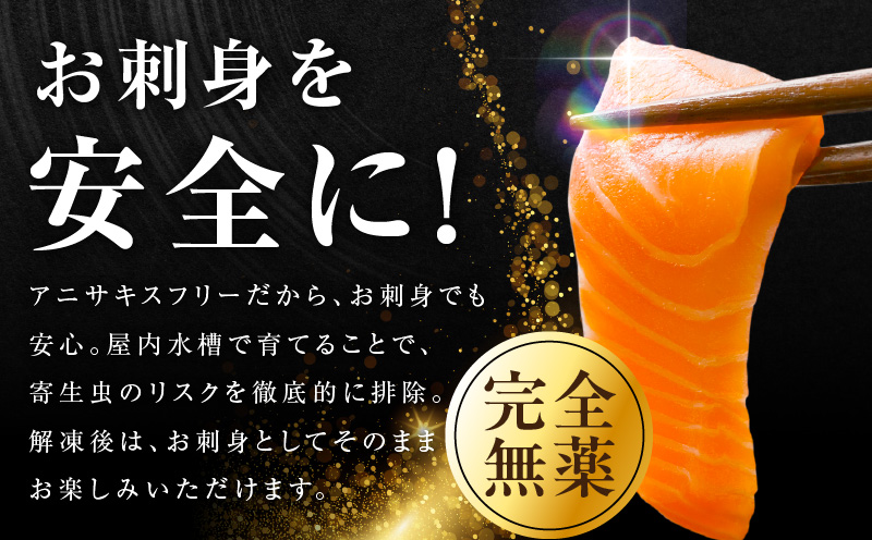 シャインサーモン 760g以上【2パック 国産 小分け さーもん 鮭 さけ シャケ しゃけ 冷凍 サイズ不揃い 訳あり】