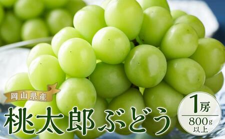 ぶどう 2025年 先行予約 桃太郎 ぶどう 1房800g以上 ブドウ 葡萄  岡山県産 国産 フルーツ 果物 ギフト