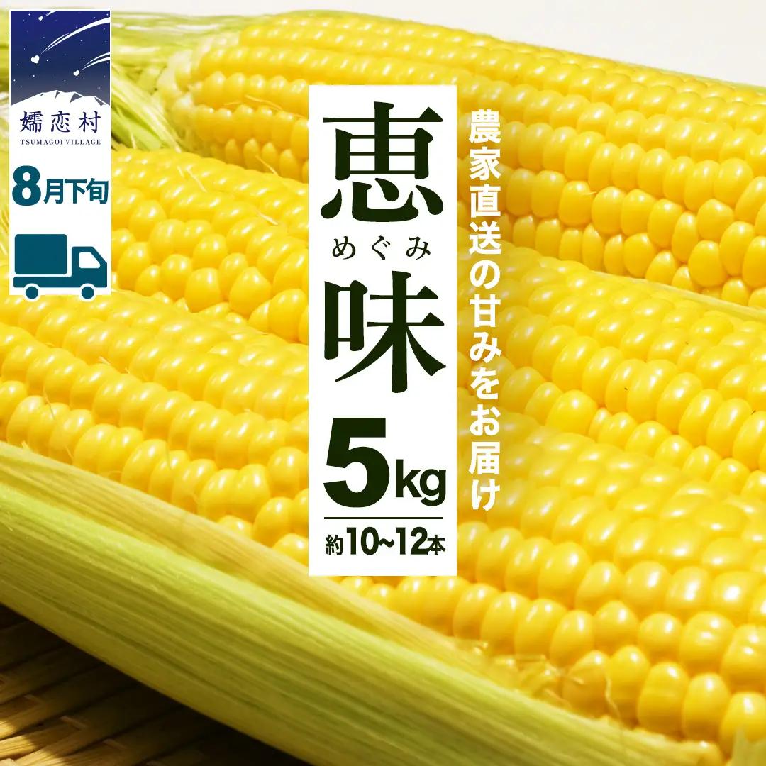 ＜レビューキャンペーン開催中＞【8月下旬発送開始】 甘～いトウモロコシ 恵味 5kg 約10～12本 [AL005tu02]