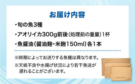 金沢仕立て鮮魚ボックス (旬の魚3種とアオリイカと魚醤油のセット) 詰め合わせ 三枚卸 真空パック 処理済み 五島市/金沢鮮魚 [PEP003] アオリイカ いか イカ アオリイカ いか イカ アオリ