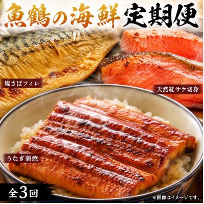 ふるさと納税 北山村 【毎月定期便】和歌山からお届け おさかな定期便 サバ・ウナギ・サケ【tkb131】全3回