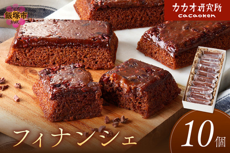 カカオ研究所 フィナンシェ10個セットチョコレート ビーントゥバー Bean to Bar カカオ アイス 福岡 飯塚【B-180】