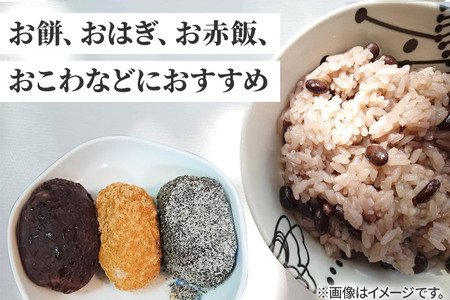 《予約受付》【2026年8月上旬発送・お盆】令和7年産【もち米】 10kg（5kg×2袋）秋田県 由利本荘市産 きぬのはだ 精米 10kg