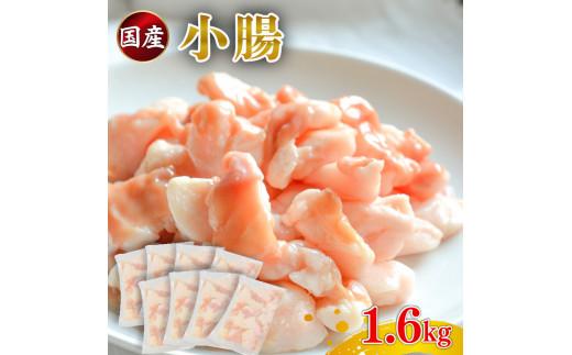 国産 小腸 ホルモン 1.6kg 牛肉 冷凍 真空 小分け 200g×8 パック お肉 牛肉 牛ホルモン 焼肉 焼き肉 ホルモン焼き モツ鍋 もつ鍋 ホルモン 鍋 バーベキュー 鉄板焼き ホルモン 牛
