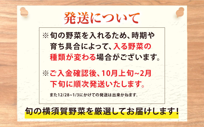 すずなり採れたて野菜BOX（7～10品目）【鈴也ファーム】 [AKCE003]