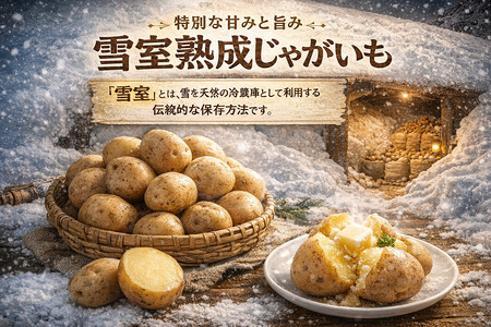北海道産 熟成じゃがいも 北海黄金 10kg  期間限定 雪室貯蔵 十勝産 ジャガイモ じゃが芋 いも 甘い