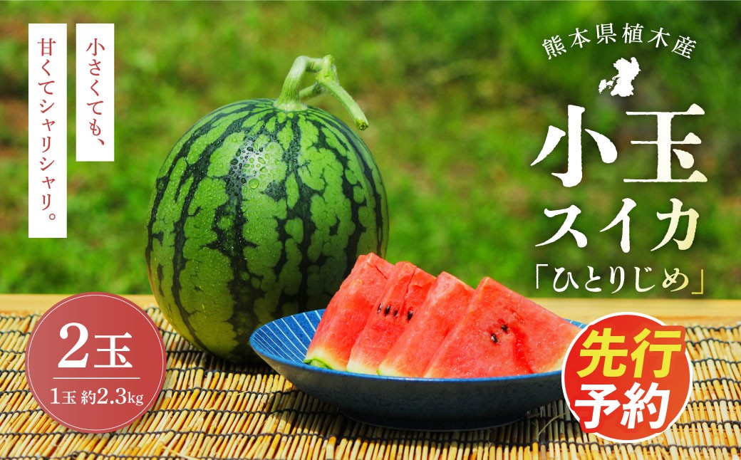 
                  ＜ R8年熊本地震復興支援 ＞【上村農園】 小玉すいか 約2.3kg 2玉 ひとりじめ 【2027年4月上旬～4月下旬迄順次発送予定】 春スイカ 植木 スイカ 西瓜 果物 くだもの フルーツ 熊本県 熊本市 常温
                