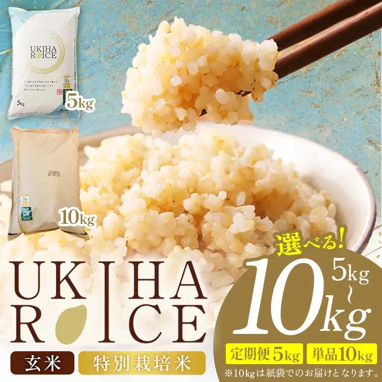 【12ヶ月定期便】 米 玄米 UKIHA RICE 5kg×12回 特別栽培米 計60kg ヒノヒカリ 令和8年産 新米 みずほファーム A06-014