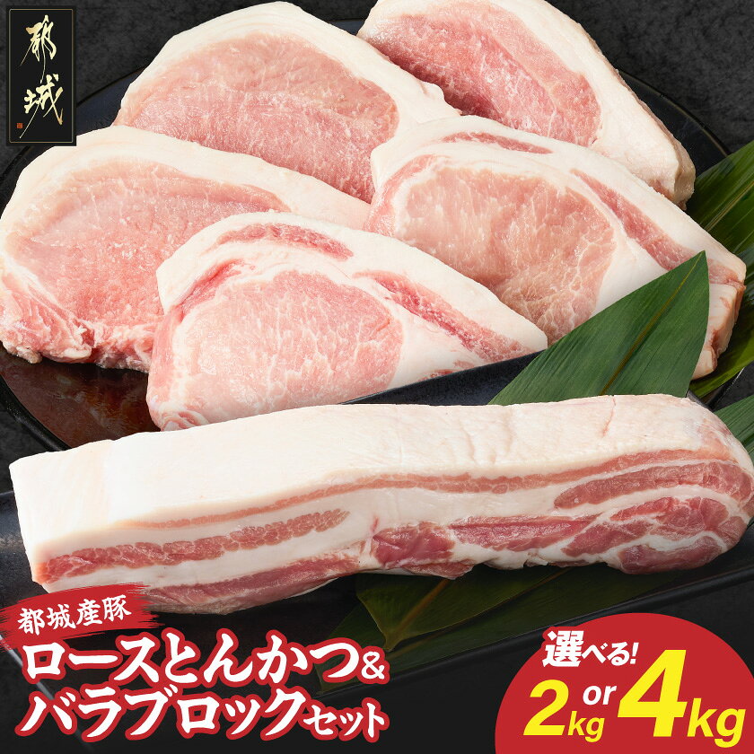 【ふるさと納税】【内容量が選べる！】都城産豚ロースとんかつ＆バラブロックセット - 都城産豚 豚肉 ロースとんかつ バラブロック 選べる内容量 2kg/4kg セット 真空 とんかつ ポークソテー 角煮 送料無料 SKU-2508 【宮崎県都城市】