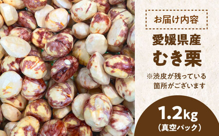 【先行予約】【9月上旬より順次発送】ほくほく甘いお徳用ムキ栗 1.2kg（真空パック）　愛媛県大洲市/沢井青果有限会社 [AGBN034]栗くり栗ごはん栗くり栗ごはん栗くり栗ごはん栗くり栗ごはん栗くり