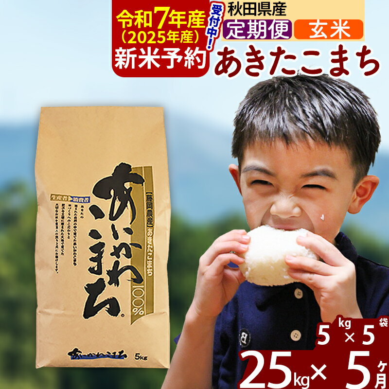 【ふるさと納税】※令和7年産 新米予約※《定期便5ヶ月》秋田県産 あきたこまち 25kg【玄米】(5kg小分け袋) 2025年産 お届け周期調整可能 隔月に調整OK お米 藤岡農産