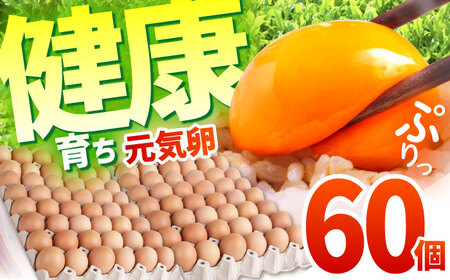 お茶と海藻で健康育ち 元気卵 60個 / たまご タマゴ 玉子 鶏卵 / 亀山市 / 藪本養鶏園[AMBH009]
