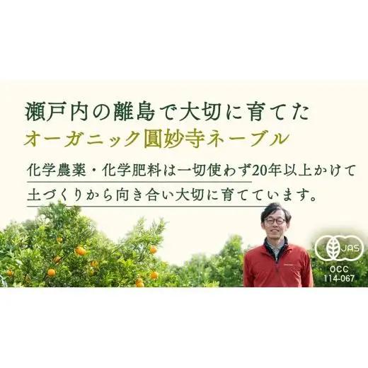 【 先行予約 】 瀬戸内 オーガニック 圓妙寺 ネーブル 9kg ( 25～35個程度 )+お試しオーガニックレモン1個 【2027年1月中旬以降発送】 