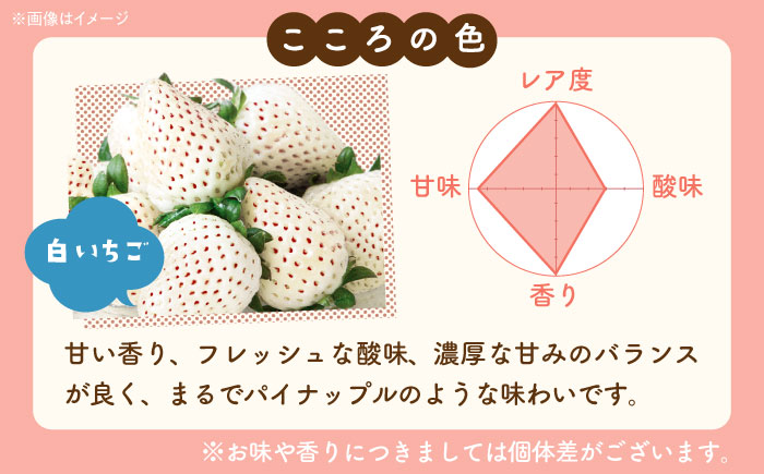 【R8年2月以降発送】淡雪・こころの色 白いちごプレミアム 計440g（220g×2パック） 【岸川農園】 [IAP045]