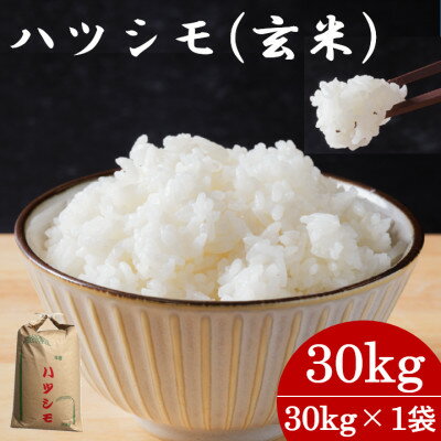 【ふるさと納税】【先行予約】令和7年産　岐阜県産ハツシモ(玄米) 30kg【1673355】
