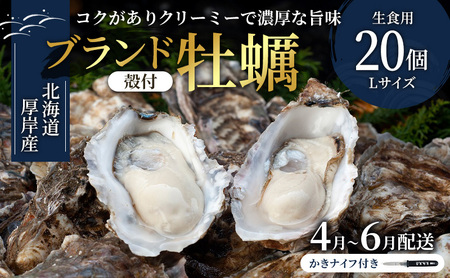 2026年4月～6月発送 厚岸産牡蠣 Lサイズ 20個 マルえもん