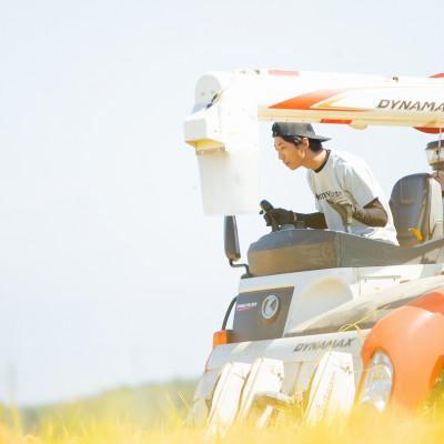 ふるさと納税 上越市 【令和6年産　2024年10月より順次発送】特別栽培米新之助【無洗米】5kg×1袋　新潟県上越産 |  | 03