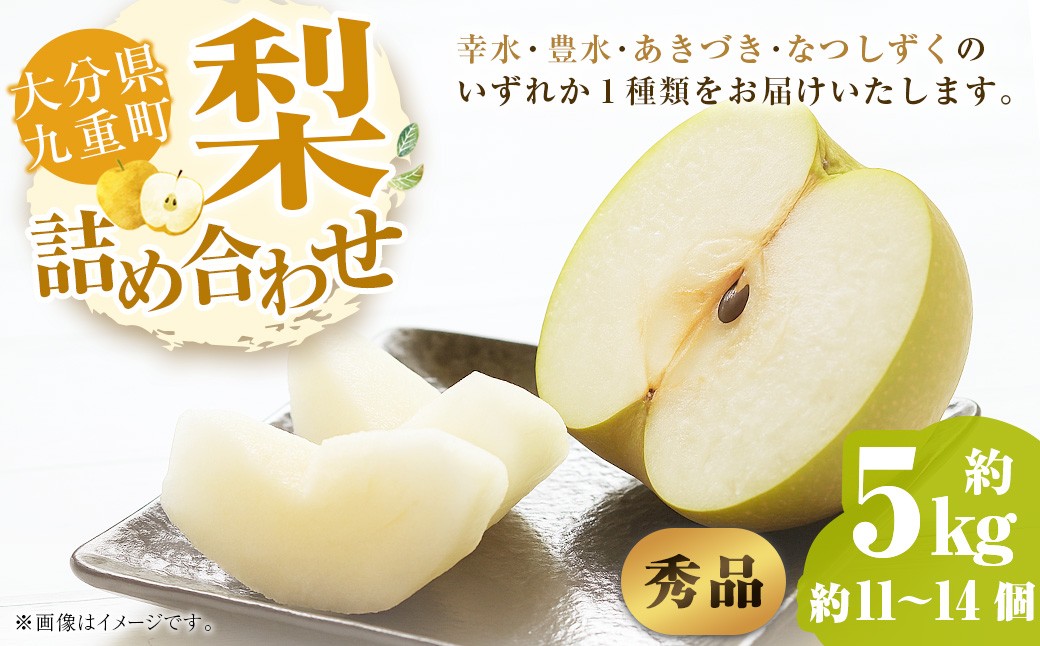 
            【秀品】 九重町産 梨 詰め合わせ 約5kg （約11個～14個） なし ナシ 幸水 こうすい 豊水 ほうすい あきづき なつしずく 果物 くだもの フルーツ 【2025年8月上旬～9月下旬発送予定】
          