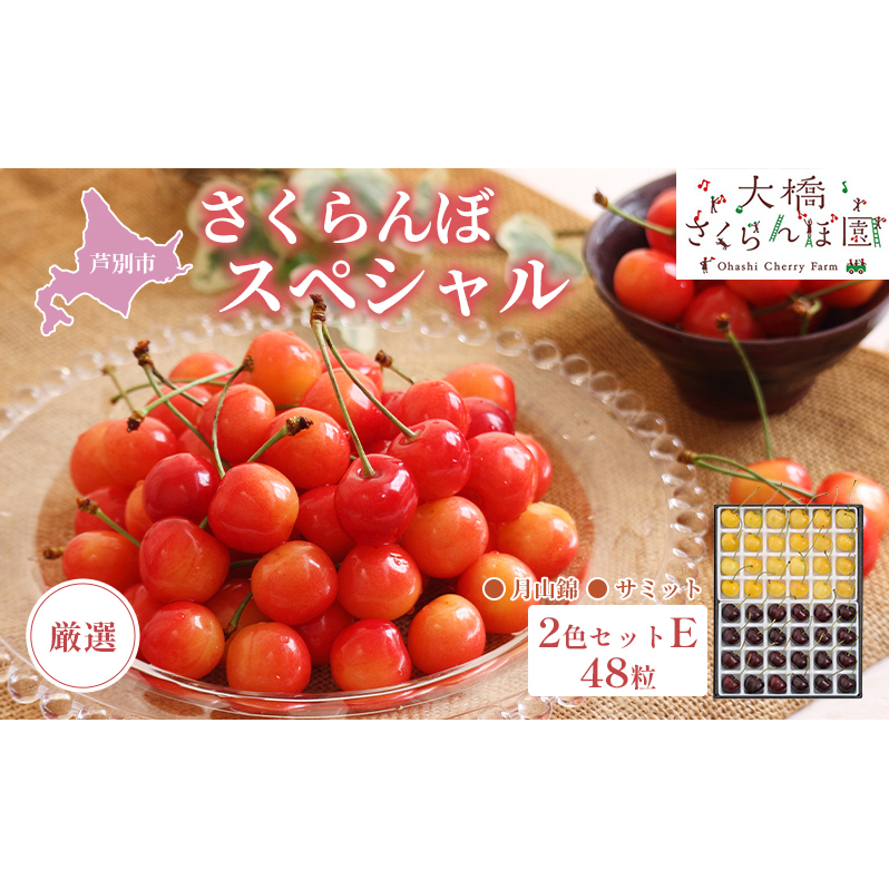 さくらんぼ 先行受付 厳選 さくらんぼスペシャル2色E 48粒 黄 黒 大橋さくらんぼ園 化粧箱入り ギフト お中元 贈り物 月山錦 サミット サクランボ チェリー 果物 果物類 フルーツ デザート 北海道 芦別市