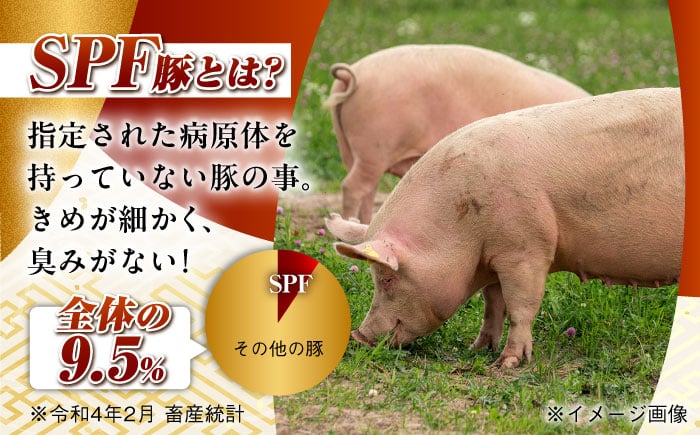 肉 豚 ぶた ブタ 豚バラ しゃぶしゃぶ 小分け 西海市 長崎 九州 定期便