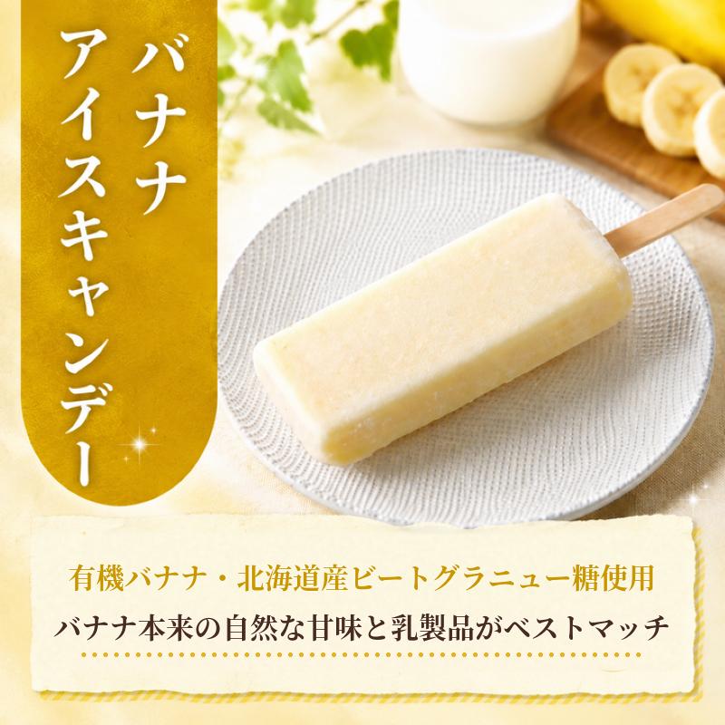 バナナ アイスキャンデー 80ml?20本 | アイス アイスキャンディー 有機栽培 オーガニック 有機バナナ フルーツアイス 果実アイス 冷凍 デザート おやつ 人気アイス スイーツ アイスクリーム