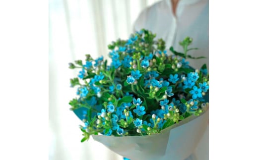 《3ヵ月定期便》 ブルースター 花束 初回花瓶付 定期便 定期コース 全3回 延命剤付き ラッピング 花びん 生花 花束 ブーケ 花 お花 おすすめ 可愛い キレイ おしゃれ 自宅 職場 ギフト_イメ