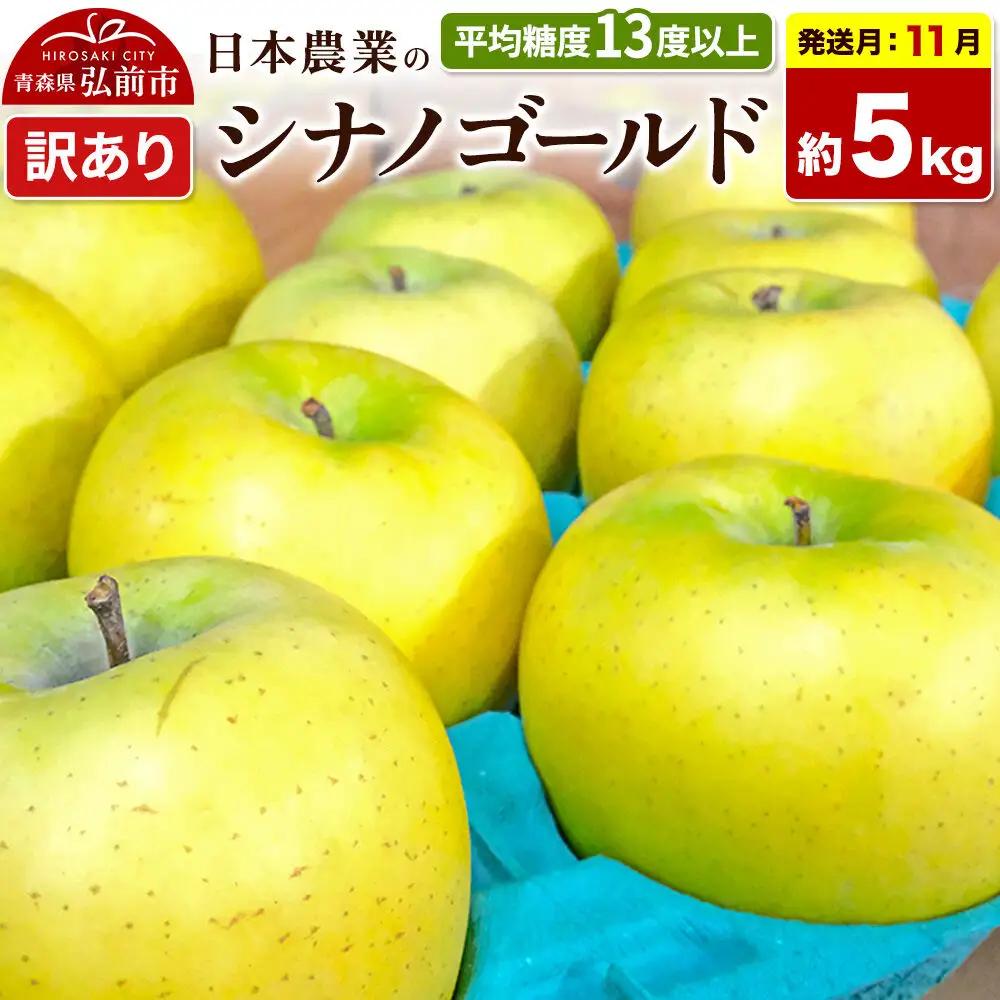 【26年11月発送】りんご シナノゴールド【訳あり】約5kg 平均糖度13度以上 青森県 弘前市 果物 フルーツ 林檎 リンゴ くだもの 不揃い 規格外