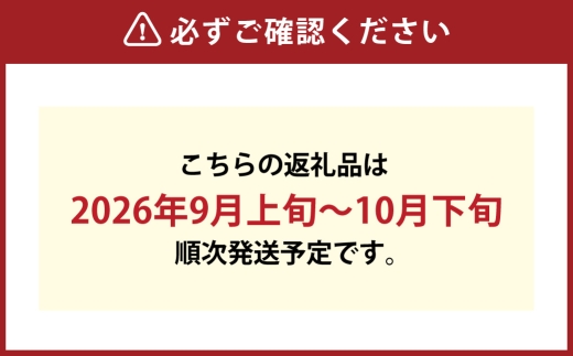 つる付き！ ニューピオーネ ＆ 晴王 シャインマスカット Bセット 露地栽培 ブドウ ぶどう 葡萄 果物 くだもの フルーツ 果実 マスカット 食べ比べ 【 2026年9月上旬～10月下旬発送予定 】