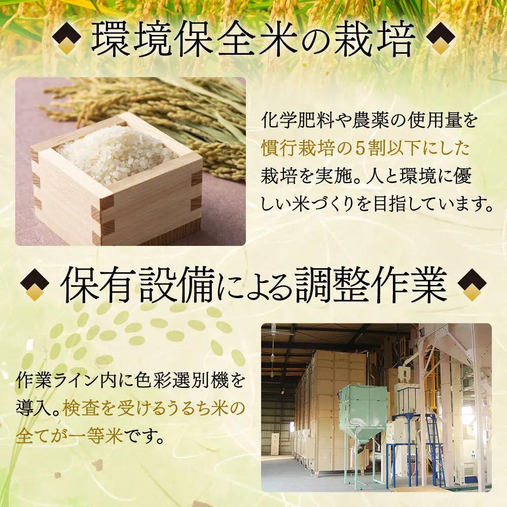 【2026年10月以降順次配送予定】《新米先行受付》《定期便6ヶ月》 令和8年産 ひとめぼれ 無洗米 5kg 宮城県名取市産 新米 お米 白米 こめ コメ ご飯 ごはん 名取市産 宮城県産 ブランド米