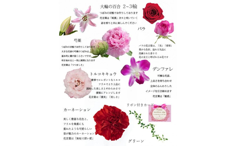 【母の日】パフュームレッドMサイズ＜お届け日：2026年5/8～5/10 当店おまかせ ＞母の日カード付き【 母の日 ギフト アレンジ 花 贈り物 大阪府 門真市 】