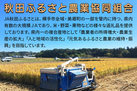 【11月中旬より発送】りんご 秋田紅あかり 家庭用 約10kg(32~40玉)