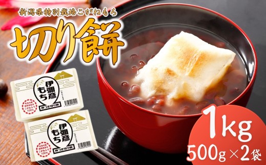 【令和8年産 先行予約】新潟県特別栽培こがねもち「切り餅」1kg (500g(10切れ)×2袋) | 弥彦村 杵つき 無添加 切餅 もち 餅 モチ 新潟県産 1キロ お正月 新年 迎春 贈答品 にいがたけん モチモチ コガネモチ 国産 弥彦村産