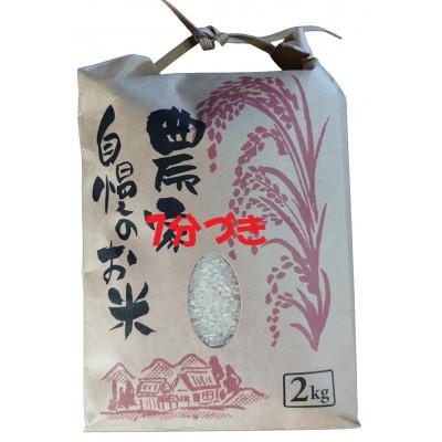 ふるさと納税 糸魚川市 新潟県産 糸魚川産令和7年産 コシヒカリ 100% 精米 2kg 7分づき