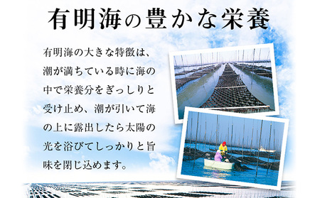 有明海産 焼のり 焼き海苔 ボトル 4本セット 10切100枚 合計400枚 《30日以内に順次出荷(土日祝除く)》福岡県 