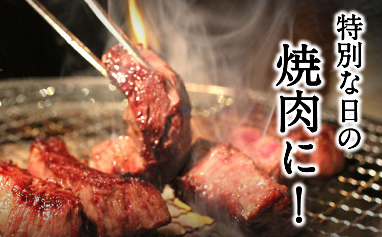 あか牛Bセット サーロインステーキ 180g×3枚 ロース 焼肉用 500g 肩もしくはももスライス 400g《30日以内に出荷予定(土日祝除く)》熊本県 氷川町 肉 牛 牛肉 株式会社有佐スーパー