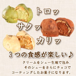 シュートリフ 12個 クリーム チョコ レート 黒糖 抹茶 贈答 ギフト バレンタイン ホワイトデー アイシング お菓子 スイーツ デザート 洋菓子 牛乳 バター ココア 食塩 卵 きなこ 10000