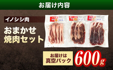 天然イノシシ肉 おまかせ焼肉セット 600g (ロース・モモ・バラ) / ジビエ 猪肉 いのしし肉 ジビエ肉 肉じゃが用肉 イノシシ いのしし焼肉 長崎ジビエ 猪 ぼたん鍋 鍋肉 猪鍋 ジビエ鍋 ジビ