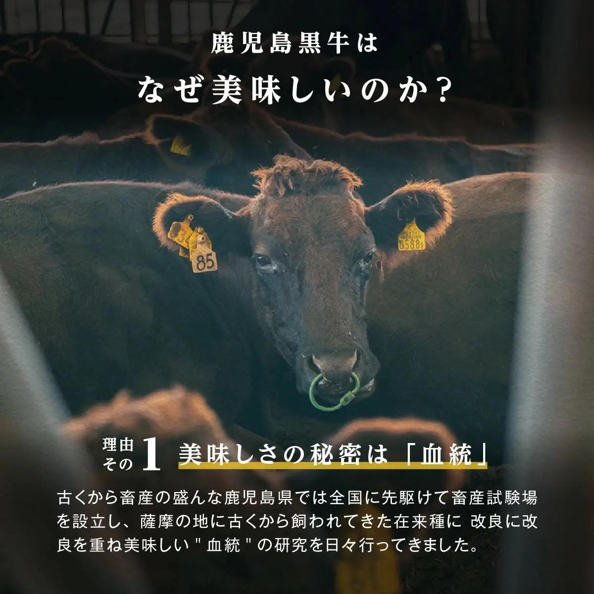【Ｏ-601】鹿児島黒牛ウデスライスセット　6パック（1.8kg）
