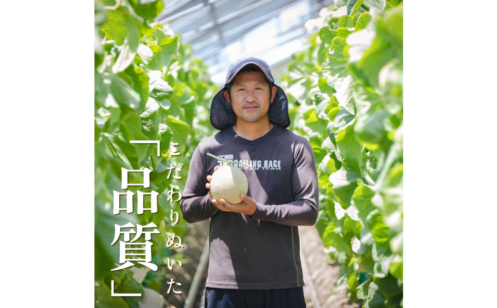 【定期便6ヶ月】『組合直送』アローマメロン1.3kg