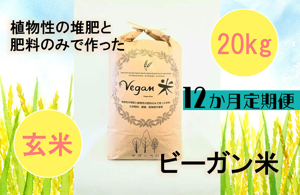 
CQ034 【12か月定期便】ビーガン米20kg　玄米【植物性で育てた完全無農薬のサガンベジブランド】
