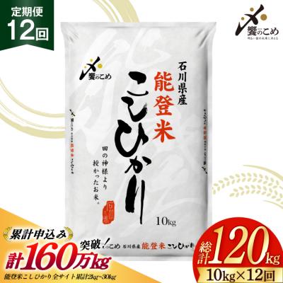 ふるさと納税 宝達志水町 米 定期便 能登米 こしひかり 10kg 12回 総計120kg 38601406