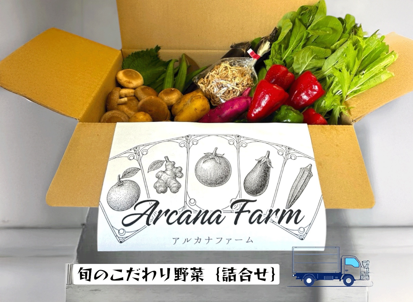 【2回定期便】こだわりの新鮮野菜セット 8~11品目 | 野菜セット 新鮮 野菜 人気 季節の野菜 おすすめ 高知県 南国市