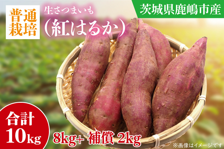
            【先行予約】【10月中旬～11月末までの発送品！】【普通栽培】紅はるか 生さつまいも(8kg+約25%補償分)　計 約10kg【サツマイモ 芋 いも べにはるか 自然栽培 新鮮 焼き芋 煮物 天ぷら スイートポテト 鹿嶋市 茨城県】（KAG-42）
          