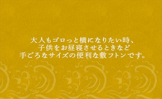 背もたれクッションとして使ったり、ごろ寝布団として使ったり
工夫次第で使い方は多岐にわたります。一家に一枚あれば便利です。