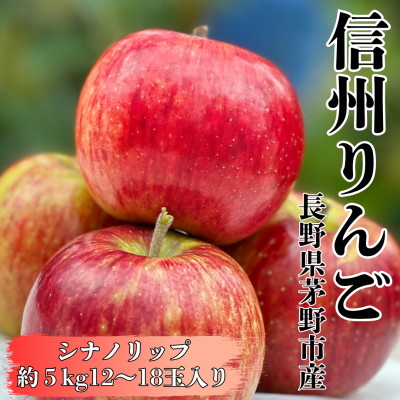 【2025年先行受付】長野直送!信州八ヶ岳のりんごシナノリップ約5kg(12～18玉)蓼科高原果物【配送不可地域：離島】【1605265】
