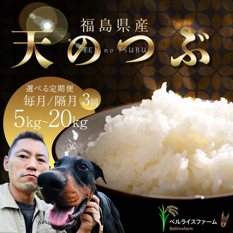 【ふるさと納税】 《選べる発送間隔・容量》 【お米の定期便 2025年11月より毎月3か月/隔月3回配送】農家直送 天のつぶ 無洗米 5kg/10kg/20kg 全3回 F6U-180var